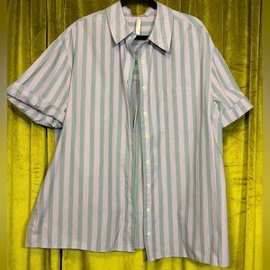 Anthropologie Blue Purple Stripe Oversized Collared Button Down Size Medium $78